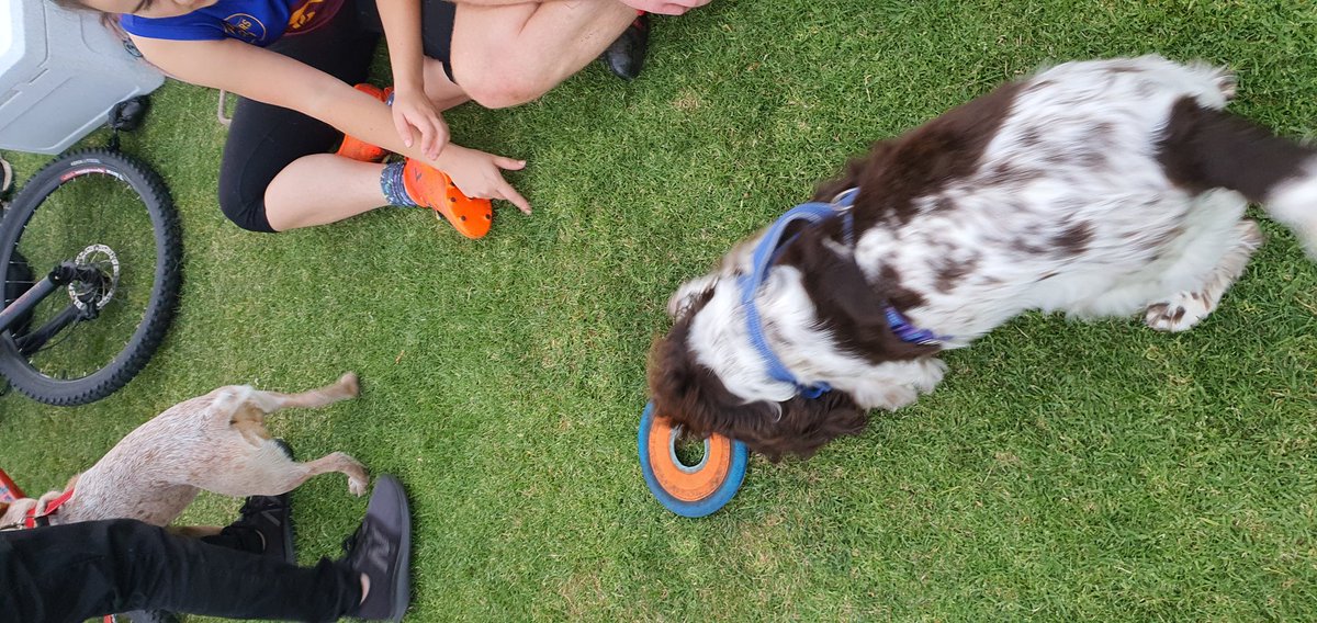 MishManners's tweet photo. Doesn't get much better than quadripple donuts, doggo kisses, playing footy.

Thanks to every Victorian for making this possible 🥰 I am so happy

Chatting about it on stream now over some #MinionMasters

🏈LIVE NOW🏉 https://t.co/GSMm3LSEcY

#Melbourne #donutweek #COVID19Vic https://t.co/4iQzeaLX05