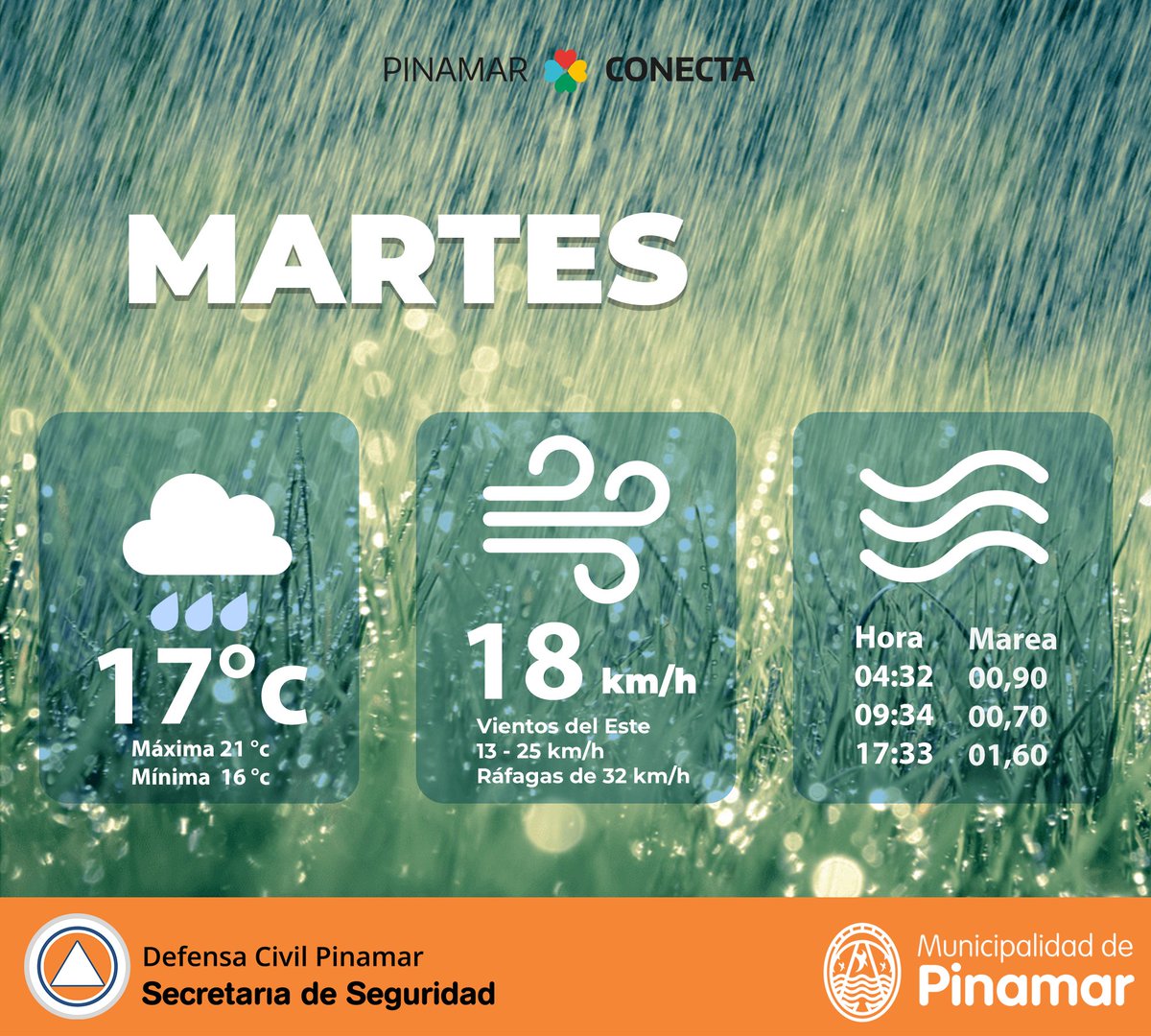PinamarDC's tweet photo. @muni_pinamar https://t.co/85fHEtdcxD