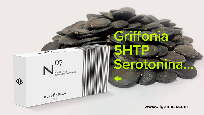 algemica's tweet photo. La Griffonia es una 🌱 muy valorada por su alto contenido en 5HTP, precursor de la serotonina encargada de regular muchas funciones del cuerpo. N07 Sináptic Complex de @algemica con un alto contenido de Griffonia para regular y restaurar los niveles de 5HTP de nuestro organismo. https://t.co/qlL2ot7qCP