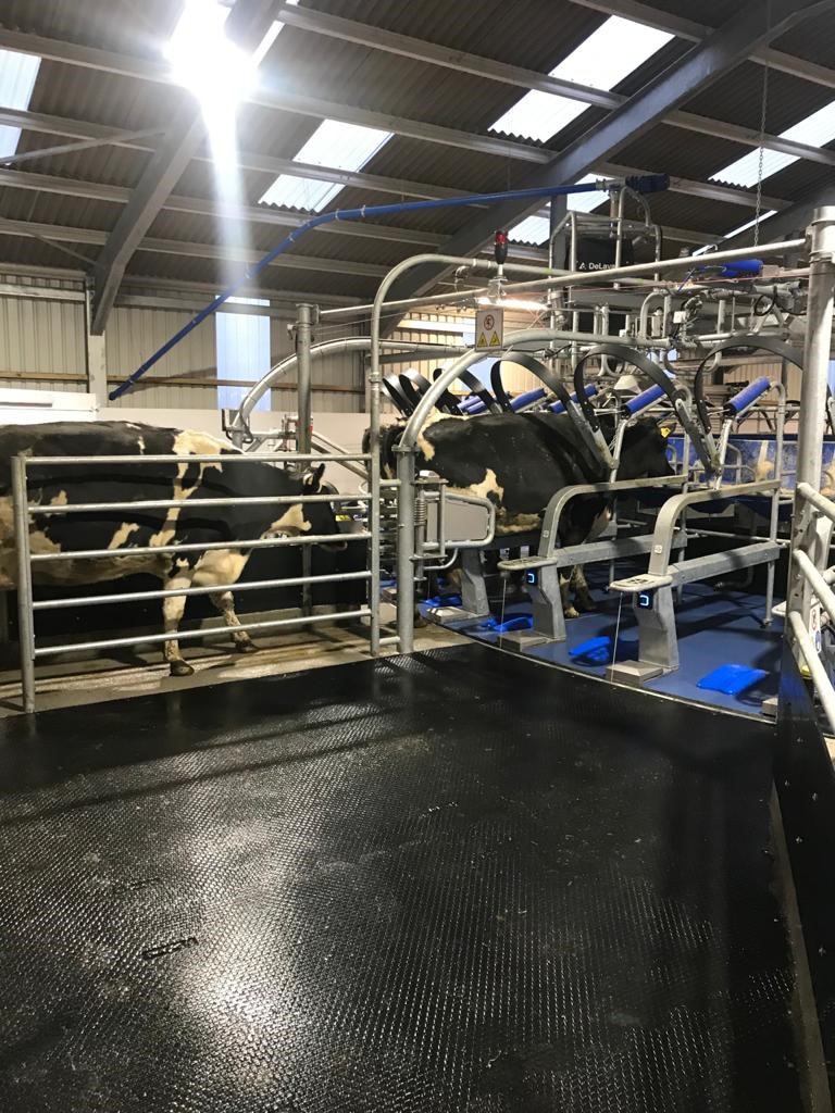 DeLaval_UK_IE on Twitter "🚨 First Morning Milking🚨 It has been a busy
