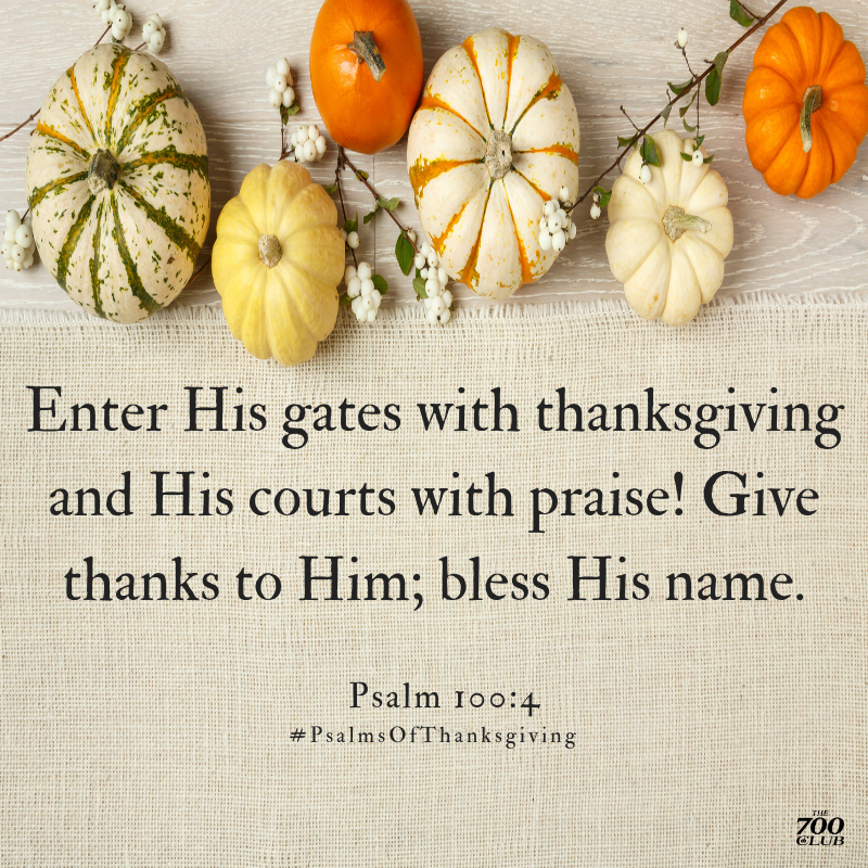 700club's tweet photo. Let's remember to give thanks today. #PsalmsOfThanksgiving https://t.co/vvApUXu2SX