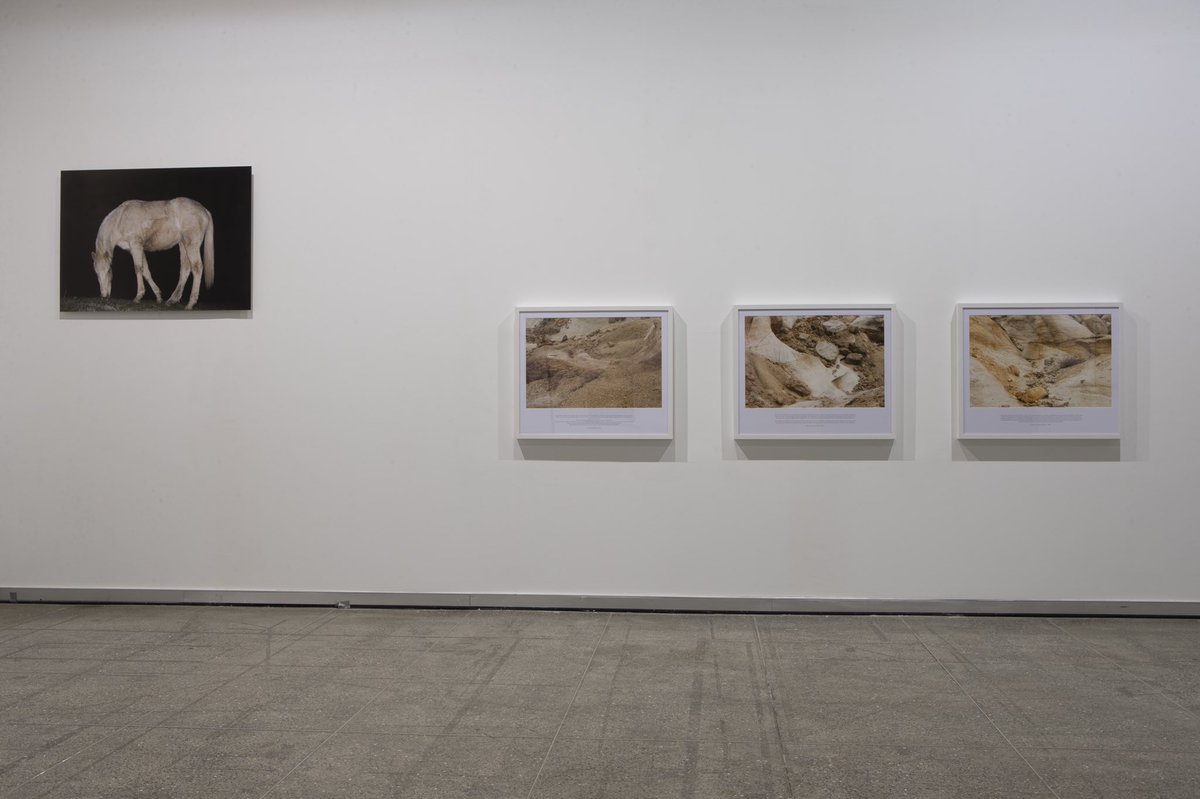 musacmuseo's tweet photo. Hoy a las 18h. os invitamos a acompañarnos en una visita en directo a la exposición “Intervalo lúcido” de la fotógrafa #AnaFrechilla. En directo desde instagram/musacmuseo con Eneas Bernal, del grupo de mediación de la convocatoria #Lab987 https://t.co/lGwBC7UvyE