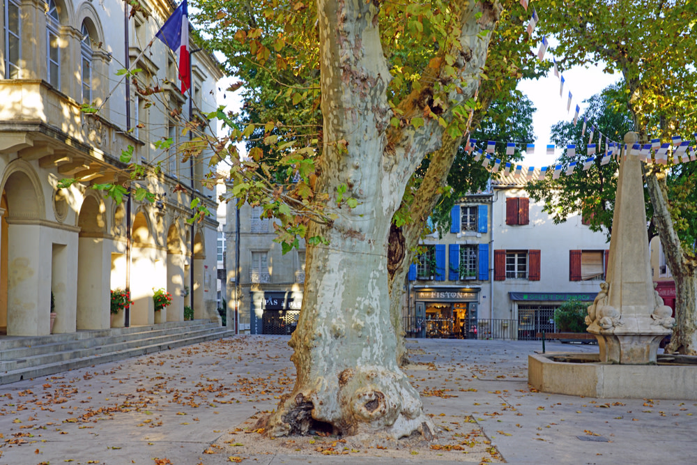 Now is the time for thinking of holidays next year in the hope that things get back to normal. With lockdown in full swing it’s the perfect opportunity to plan a holiday for 2021. Let’s begin to dream again!

#provence #2021holidays #olivesandvines