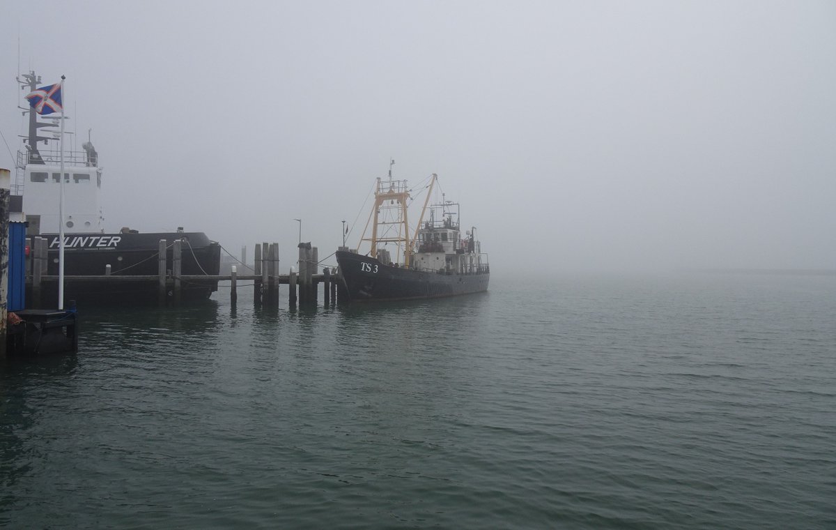 EasySailNL's tweet photo. Als #bootmakelaar ben je niet altijd met je vak bezig..... en toch...... vorige week lekker wezen uitwaaien op #Terschelling en dan kan ik het niet laten.
Bootjes, overal....... heerlijk. #beroepsdeformatie = a fun thing! https://t.co/xcX7wmkWq9