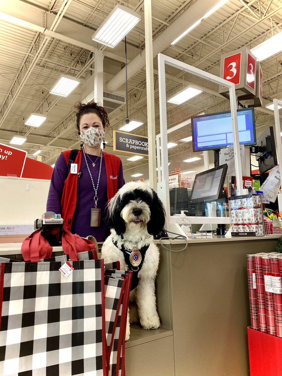 PSD_Stella's tweet photo. Price check on cash 3 please!
Great socialization training yesterday at @MichaelsStores on Stavanger Dr! #ImPriceless #GetIt #MichaelsCanada
🐾Stella https://t.co/xSidNDQJ6t