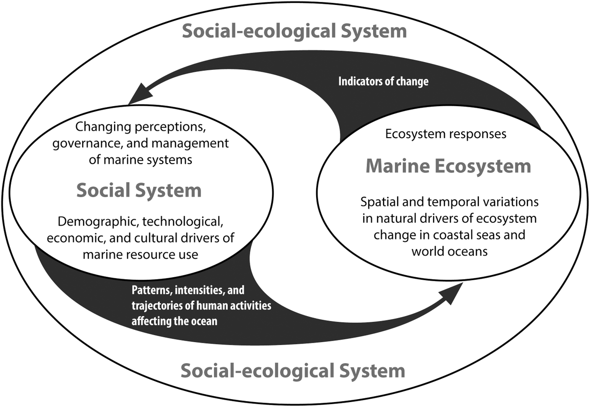 An  #interdisciplinary challenge: Conveniently as a senior scholar you CAN stick to your chosen discipline, BUT in a time of great societal challenges, I find it increasingly necessary to be able to assess and  #scicomm with theory, methods and data from other disciplines. 2/11 /BP