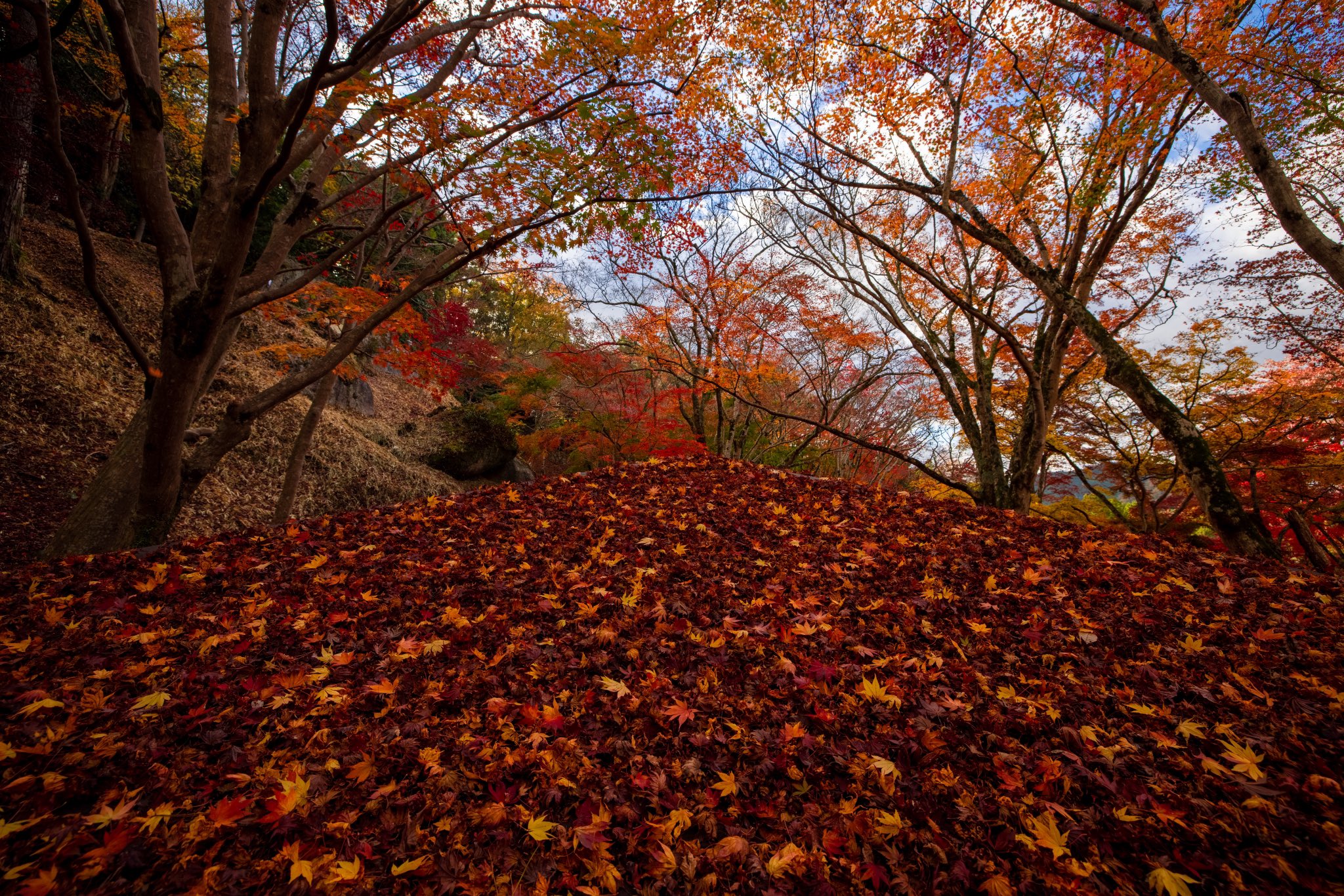 笠置山自然公園 Twitter Search Twitter