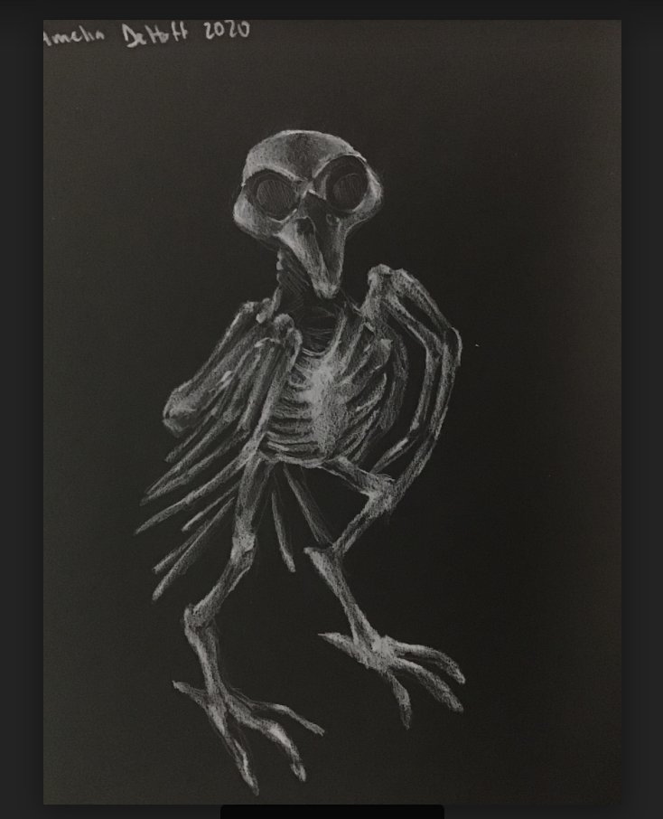 Amelia DeHoff 8th, Positive/Negative space