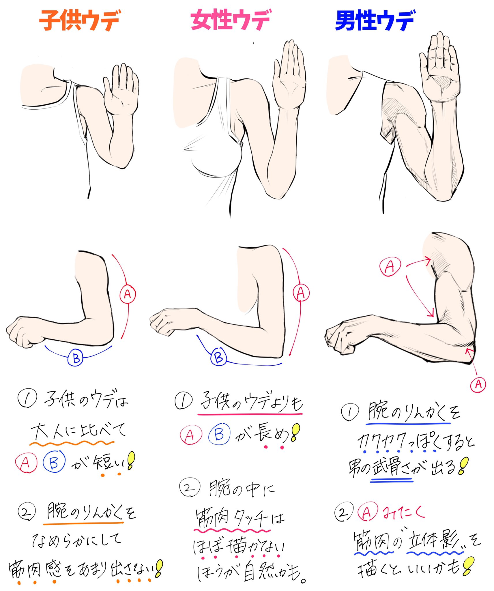 吉村拓也 イラスト講座 腕が苦手でヘタになる という人へ 腕の構造やデッサンのコツまとめ 吉村拓也 イラスト講座 腕が苦手でヘタになる という人へ 腕の構造やデッサンのコツまとめ