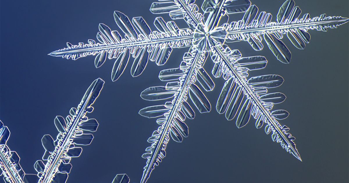 maximaxoo's tweet photo. #Science #Art: an #UltraHighResolution #snowflake camera captures the extraordinary details of #SnowCrystals
https://t.co/DaH4MfThzI via @Colossal https://t.co/YX4NlpfeUS