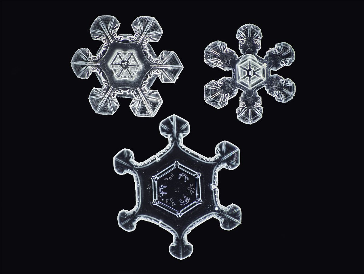 maximaxoo's tweet photo. #Science #Art: an #UltraHighResolution #snowflake camera captures the extraordinary details of #SnowCrystals
https://t.co/DaH4MfThzI via @Colossal https://t.co/YX4NlpfeUS