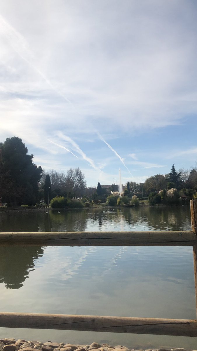 SandritaOveR's tweet photo. Un baño de sol #Valdemoro https://t.co/O1k3g0mOoE