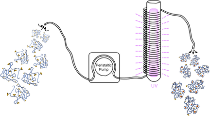 angew_chem's tweet image. Flow Photochemistry for Single-Chain Polymer Nanoparticle Synthesis (Diesendruck) onlinelibrary.wiley.com/doi/10.1002/an…