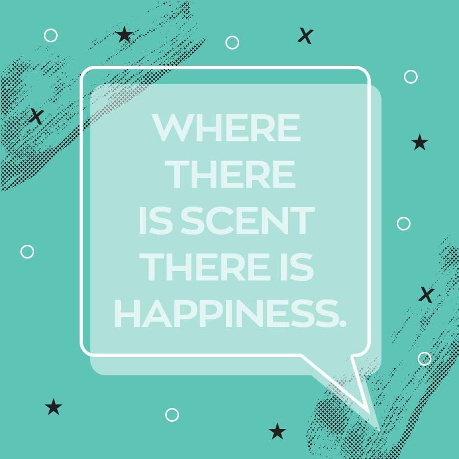 RachelCapper2's tweet image. It's a fact that certain scents can influence our mood.

#FavouriteFragrance #Avon 
😍😍😍
wu.to/6mkUhQ