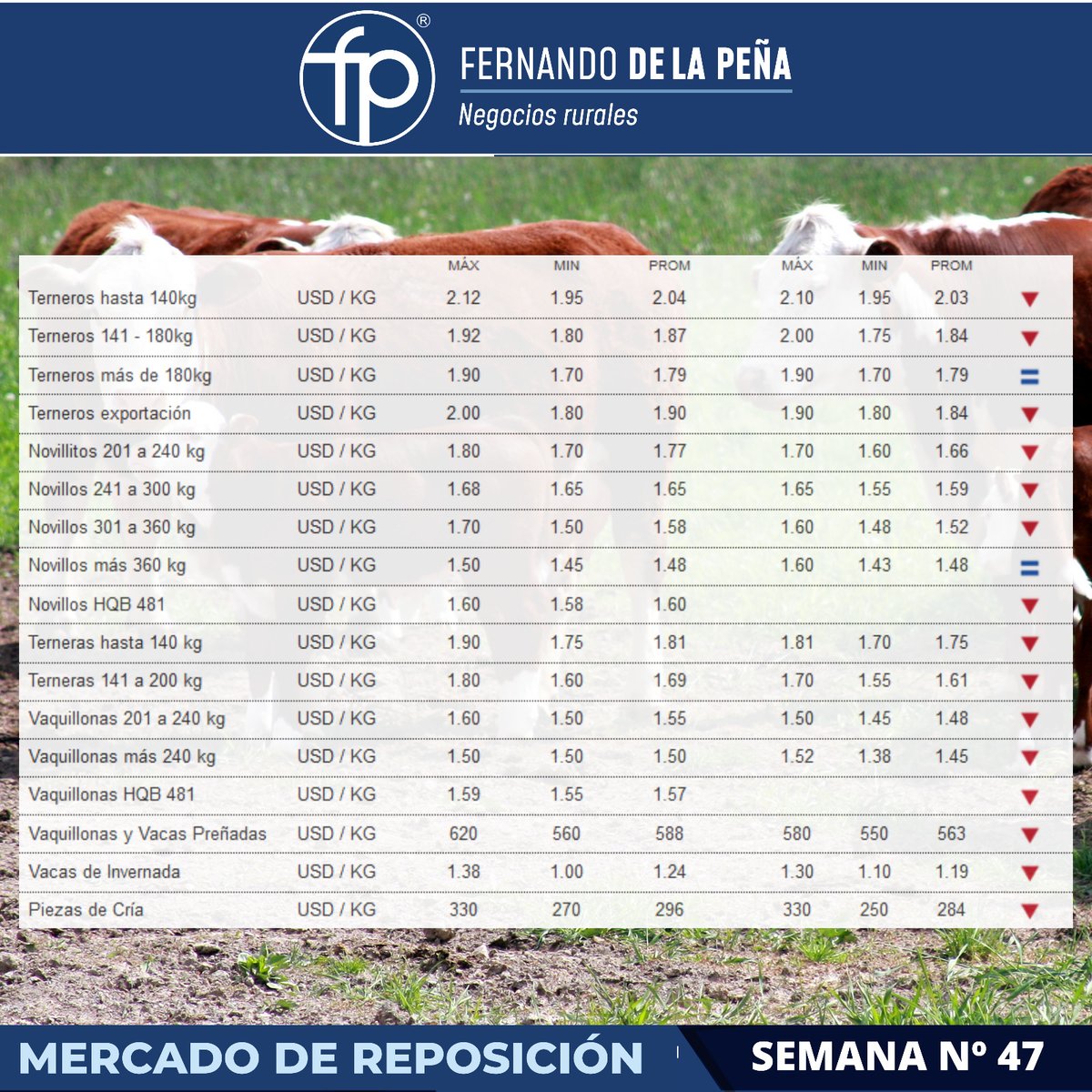 FPNegRurales's tweet photo. Buenos días a todos, continuamos informando los valores del #MercadoDeHacienda y #MercadoDeReposición en 🇺🇾 https://t.co/tZyYAR4kpw