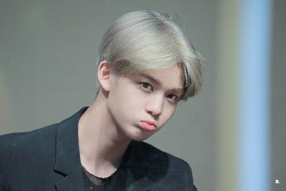 B. 비닷 tweet media