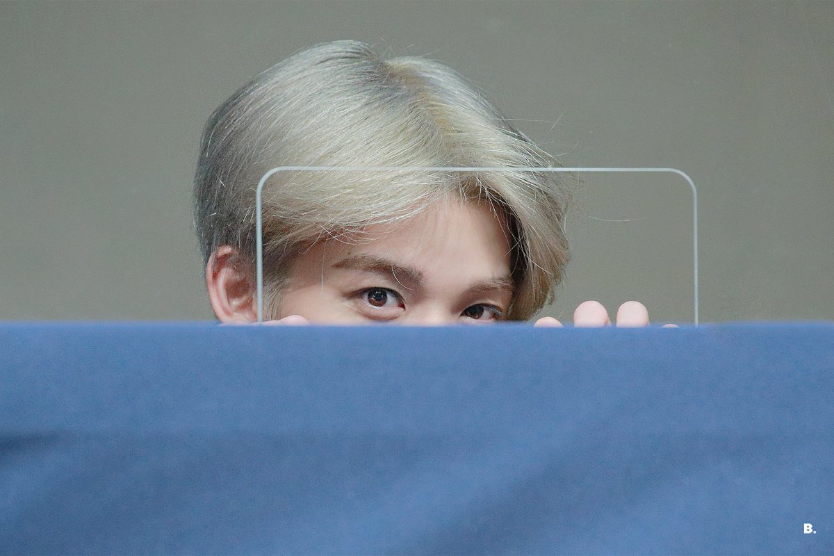 B. 비닷 tweet media