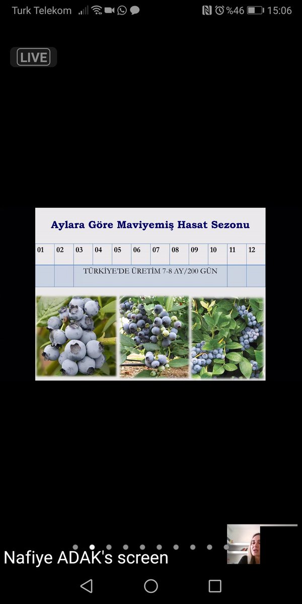 Glgn09862423's tweet photo. @ANTALYA_TOM @Akdenizun @nafiye_07 @gkhankaraca @ersinyazici1 @bekirpakdemirli #Bluebery https://t.co/TLU9oury9L