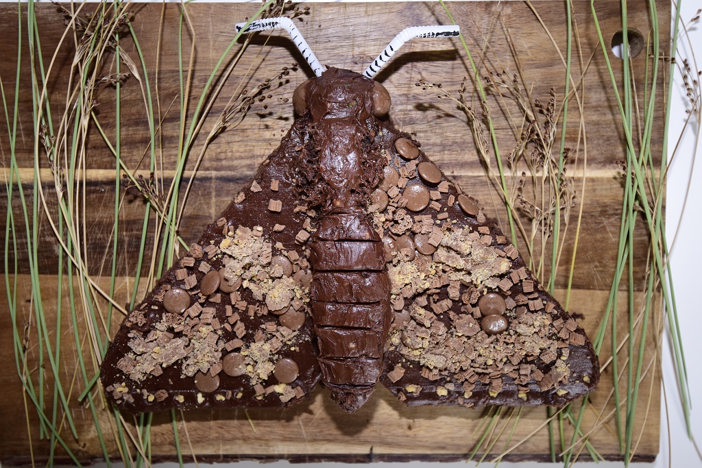 NatureBftB's tweet photo. For all of you budding bakers and fans of @BritishBakeOff today's the final and we thought we'd celebrate with some of our 'Bake from the Brink' favourites -
🦇 Battenberg
🦋 Chequered Skipper Cake
🐞 Ladybird Spider Biscuits

"Show us your bakes"!🎂

#GBBO #BakeOff #TuesdayTreat https://t.co/19GoiHN9VI