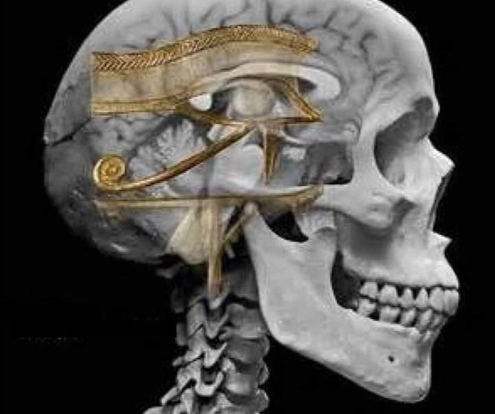 A Thread  #blacknoteshub1/@ An Ancient Khemetic Science Lesson More Than Just An Ancient Symbol