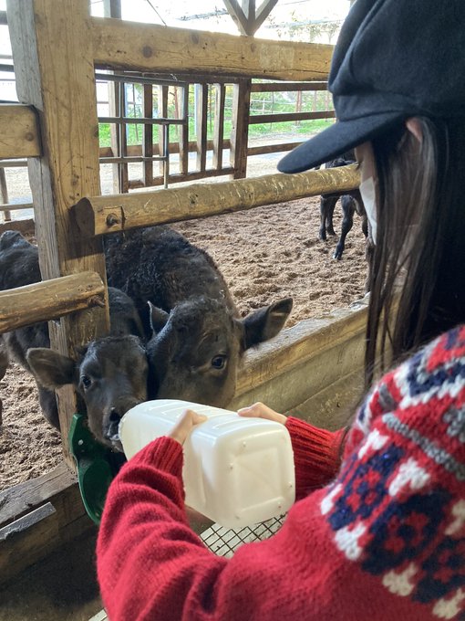 アヤミのTwitter画像6