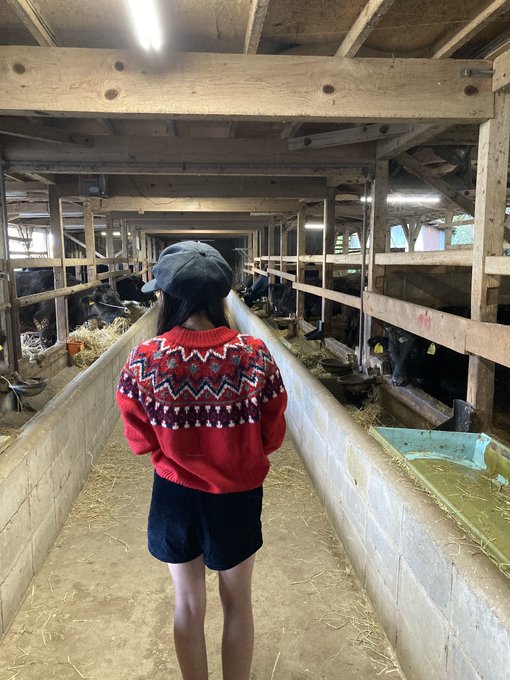 アヤミのTwitter画像8