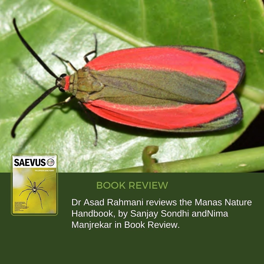 SaevusWildlife's tweet photo. Get your digital copy now
Saevus Wildlife: https://t.co/gMV57q12u6
Magzter : https://t.co/1jBI06mLjm
Readwhere : https://t.co/DDYiySoZyg
#Saevus #saevusmagazine #birdsmagazine #wildlife #september2020 #magzter #digital #digitalmagazine #magazine #magazinedesign #magazineart https://t.co/bPgafSZ7W5