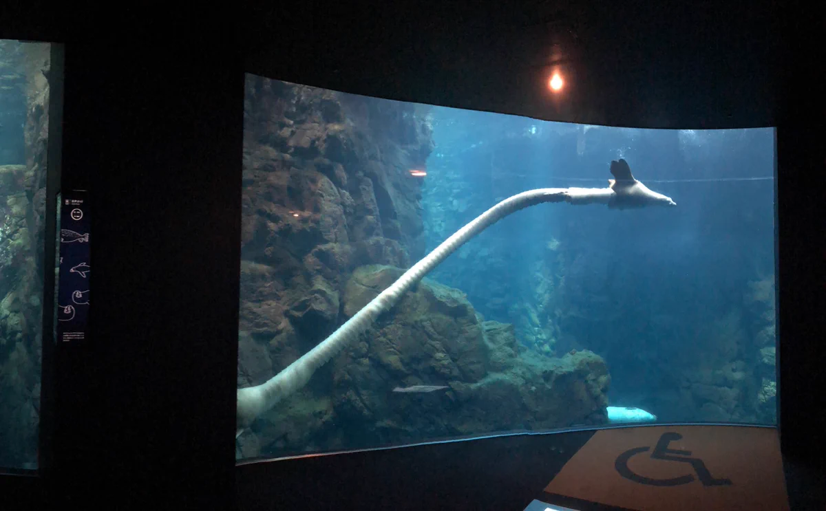 この生物は一体？パノラマ機能で撮影したアザラシがまるで珍獣ｗｗｗ