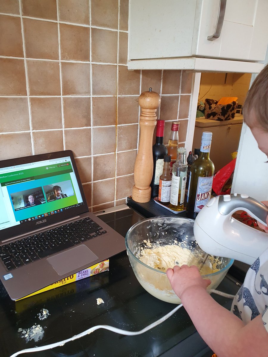 PhillipaFarmVet's tweet image. Next session of #SHAWG2020 with @SamBoonBreeding and others looking at using genetics for sheep health! Great so far @AHDB_BeefLamb ..with some baking in the mix of 😳🤯🙈 #teamsheep @FlockHealth #multitaskmaster #whatcangowrong 🤷‍♀️🤦‍♀️