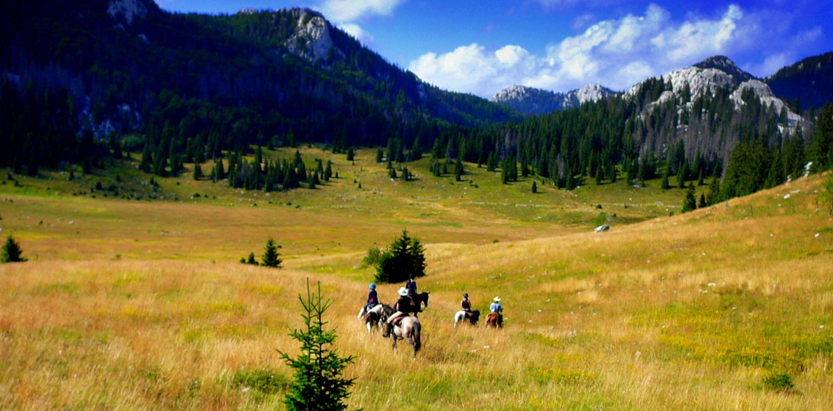 vickysmith's tweet photo. RT @ Earth_Changers_ #TravelTuesday: A #trail through the beautiful foothills of #Velebit #Mountain: fantastic #scenery, fun & you might spot a #bear! Experience how the local #community live in untouched #nature.
https://t.co/eWWTWxEBDE
#Croatia #biosp… https://t.co/alyw1B2h37