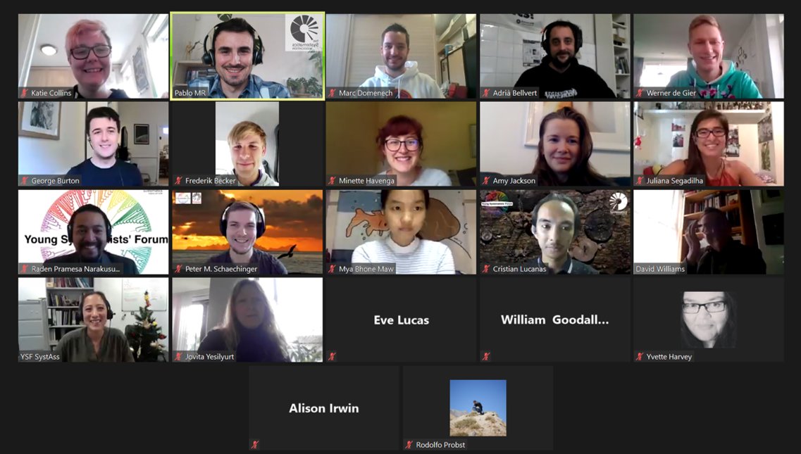 SystAssn's tweet photo. Here you have some of the presenters (and organisers) at #YSF2020. At least those that are awake right now! https://t.co/56jT7x19Qt