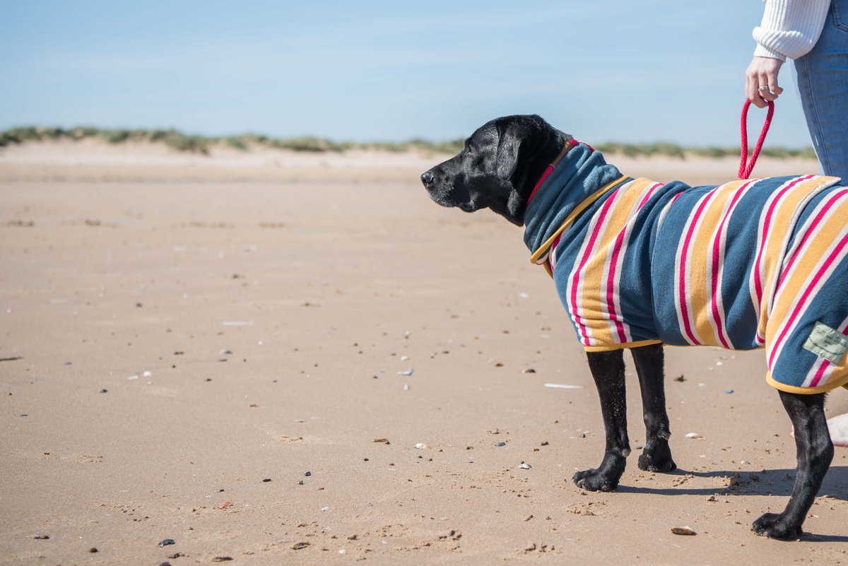 ruff & tumble dog coats