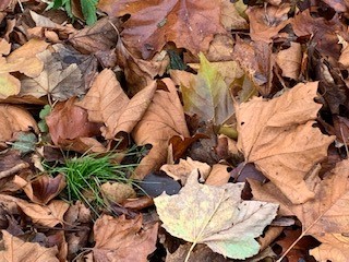 MSTProgrammes's tweet photo. Following on from @CathyAnnJames #walkbeforework admin has just enjoyed a #walkatlunch in her local area. It's so important to take time to recharge and time away from work during the day #MentalHealthMatters https://t.co/F2ONXnebSA