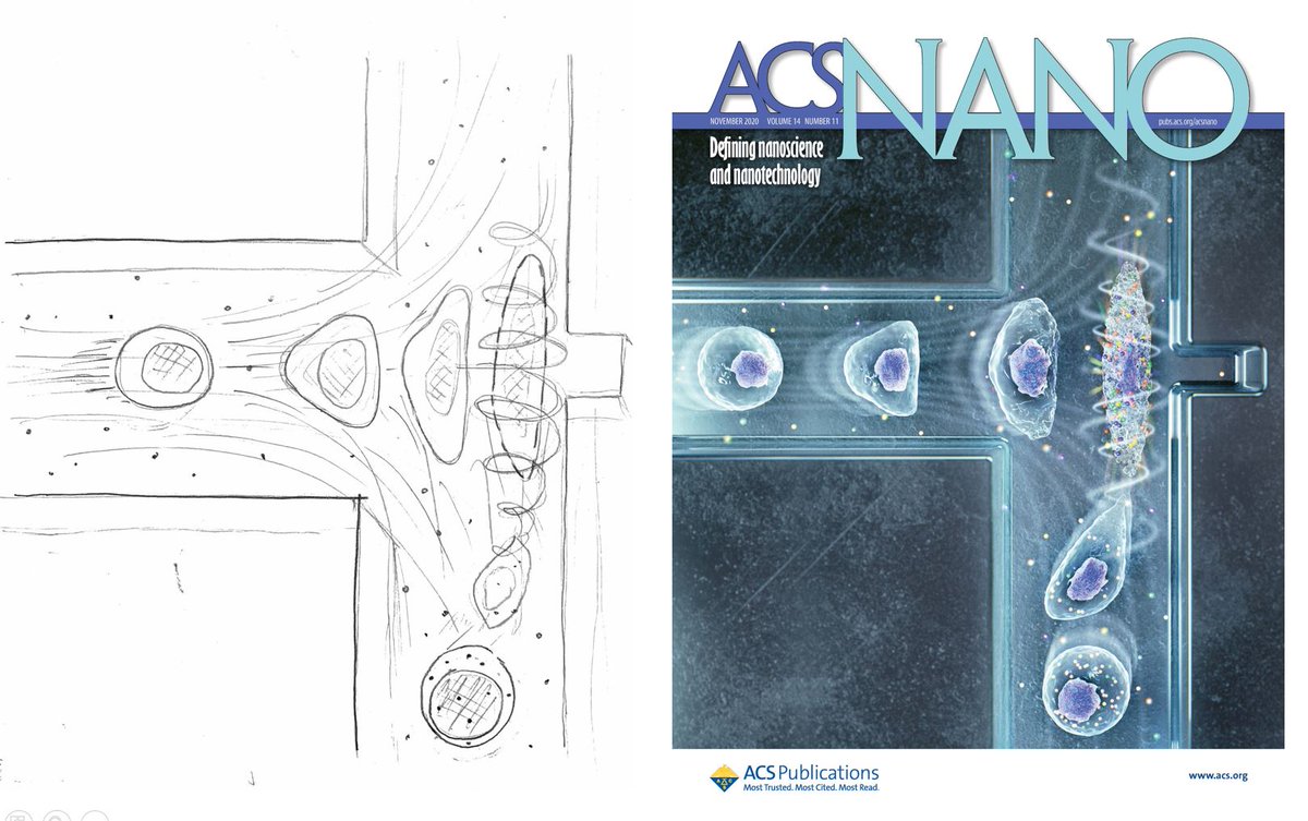 ac467's tweet photo. It turned out well :)  #acsnano #intracellulardelivery #transfection #genedelivery #microfluidics @acsnano
https://t.co/Nu3zVNaTx5 https://t.co/PGIGM4XMWa