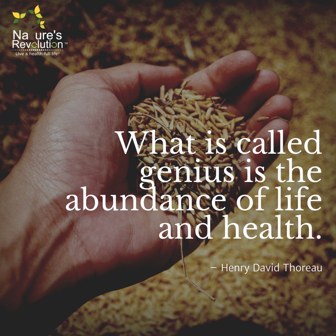 What is called genius is the abundance of life and health. #health #wellness #nutrition #naturesrevolution⠀
#weightloss #healthylifestyle #fitnessmotivation⠀
#healthyfood #fitness #workout #diet