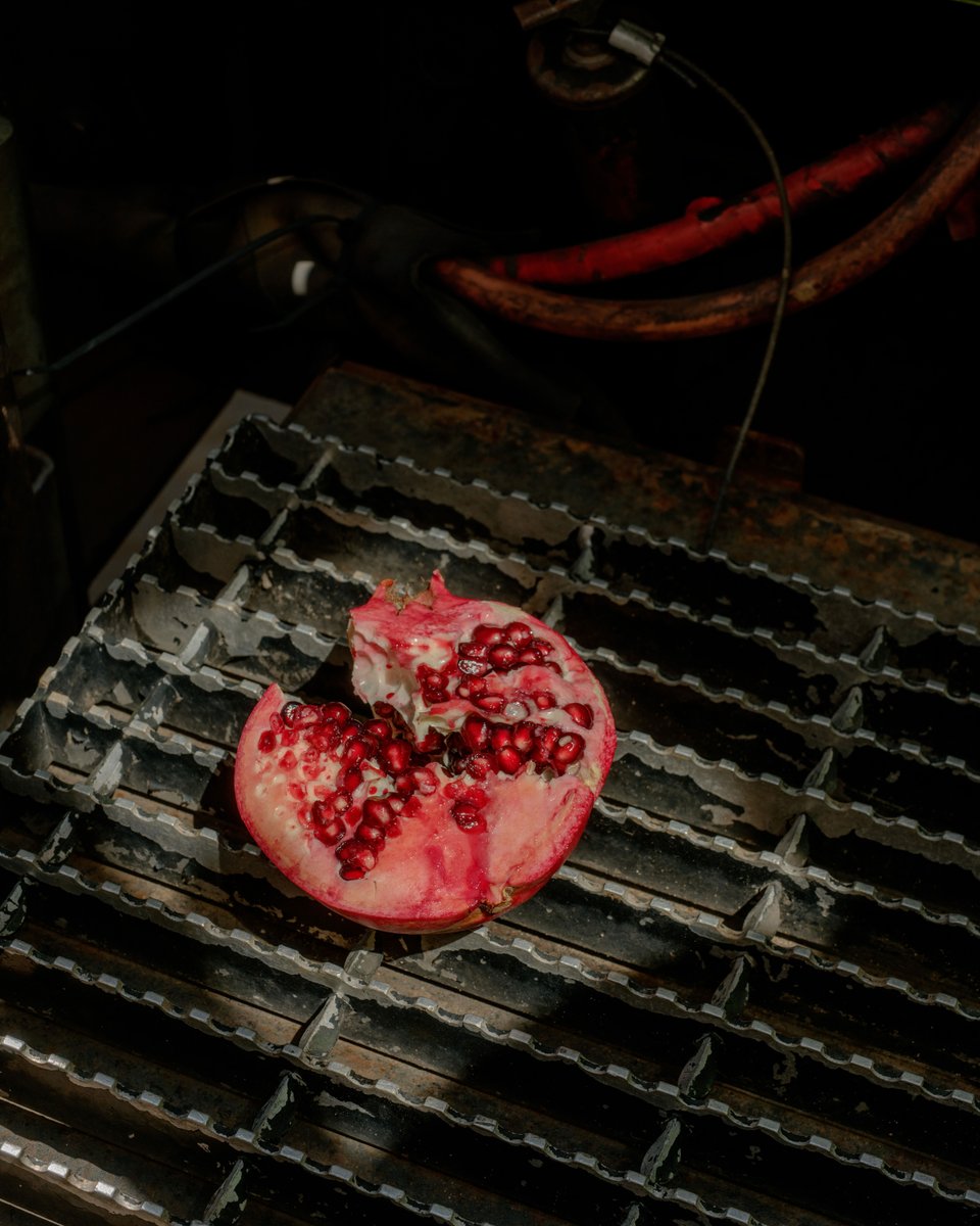 A grate shot of a sunbathing pomegranate, from warmer days. 

#streetfare
#brooklynfare