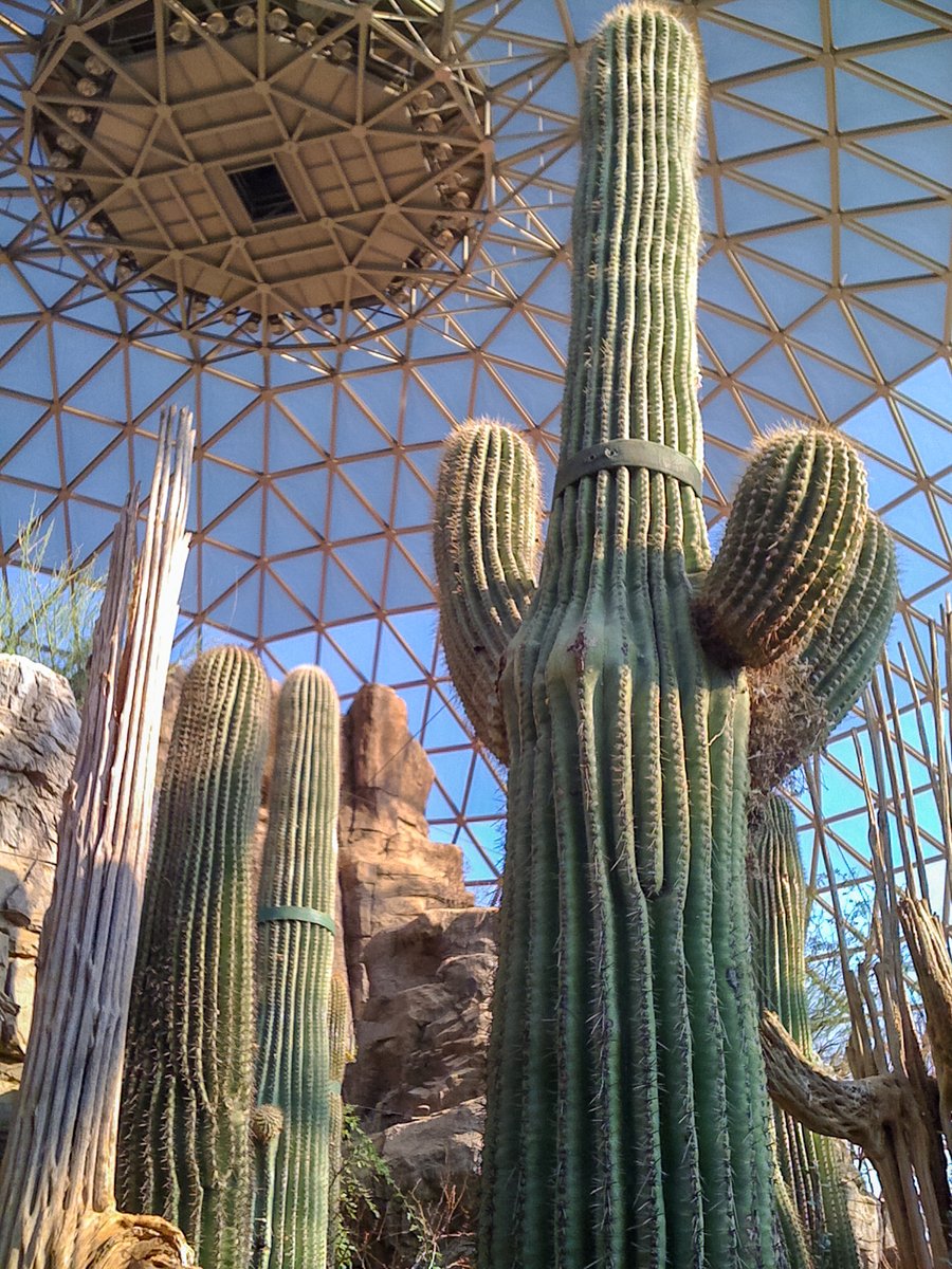 Some of the Desert Dome's acrylic panels are tinted to optimize solar gain.