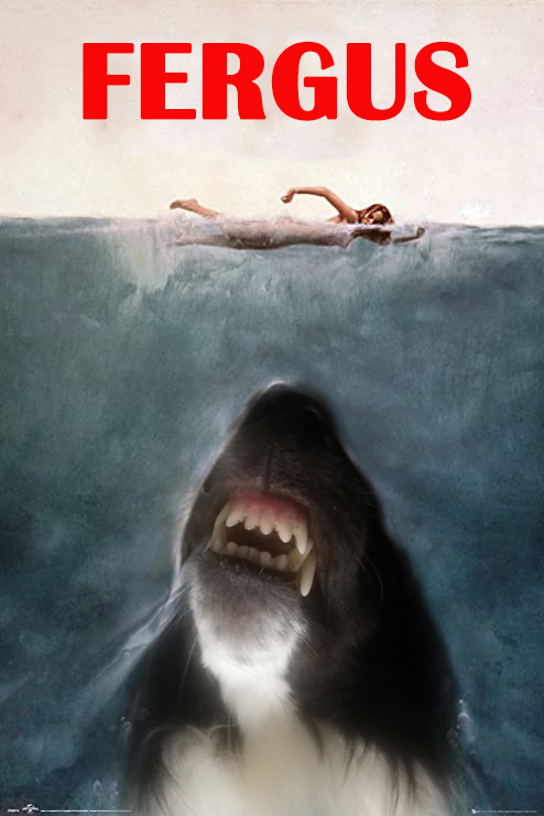 FunFergus's tweet photo. Just when you thought it was safe to go under the covers...
FERGUS. Coming to a blanket near you. 🦈🦈
#JAWS #sheltie #dog #dogsoftwitter #doggo #dogscorner #dogsarelove #dogumented #ilovedogs #discoverdogs #adolescence #dogs  #doggosbeingdoggos #doglife #DogLover https://t.co/9w8VRmrH0k