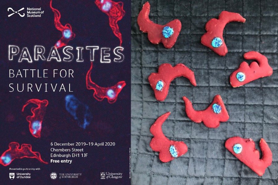 Dabbling in the science of baking, this entrant has created some cookie trypanosomes (as seen on the poster of our 2019 exhibition, Parasites)   #MuseumBakeOff