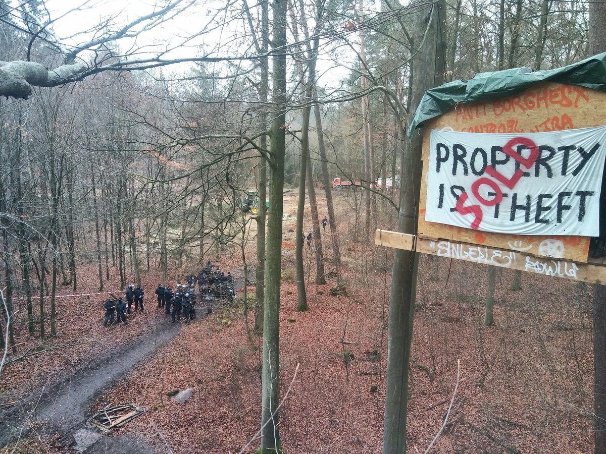 People fight deforestation of DannenroederForst⁩ (Dannenröderwald⁩) in Germany. #DanniBleibt x.com/keinea49/statu…