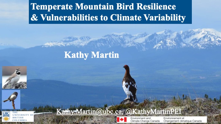 Devin de Zwaan, PhD 🐦🏔️❄️🔥💨 tweet media