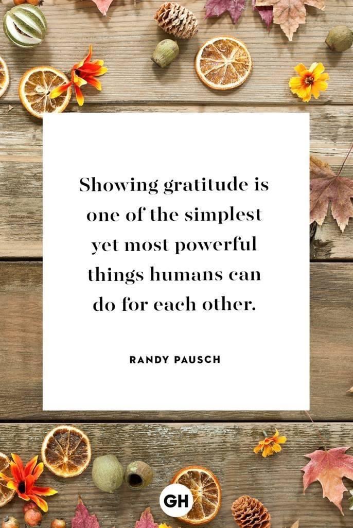 escregion12's tweet photo. Such an important reminder of how powerful gratitude can be! https://t.co/C8aNjTg1zn