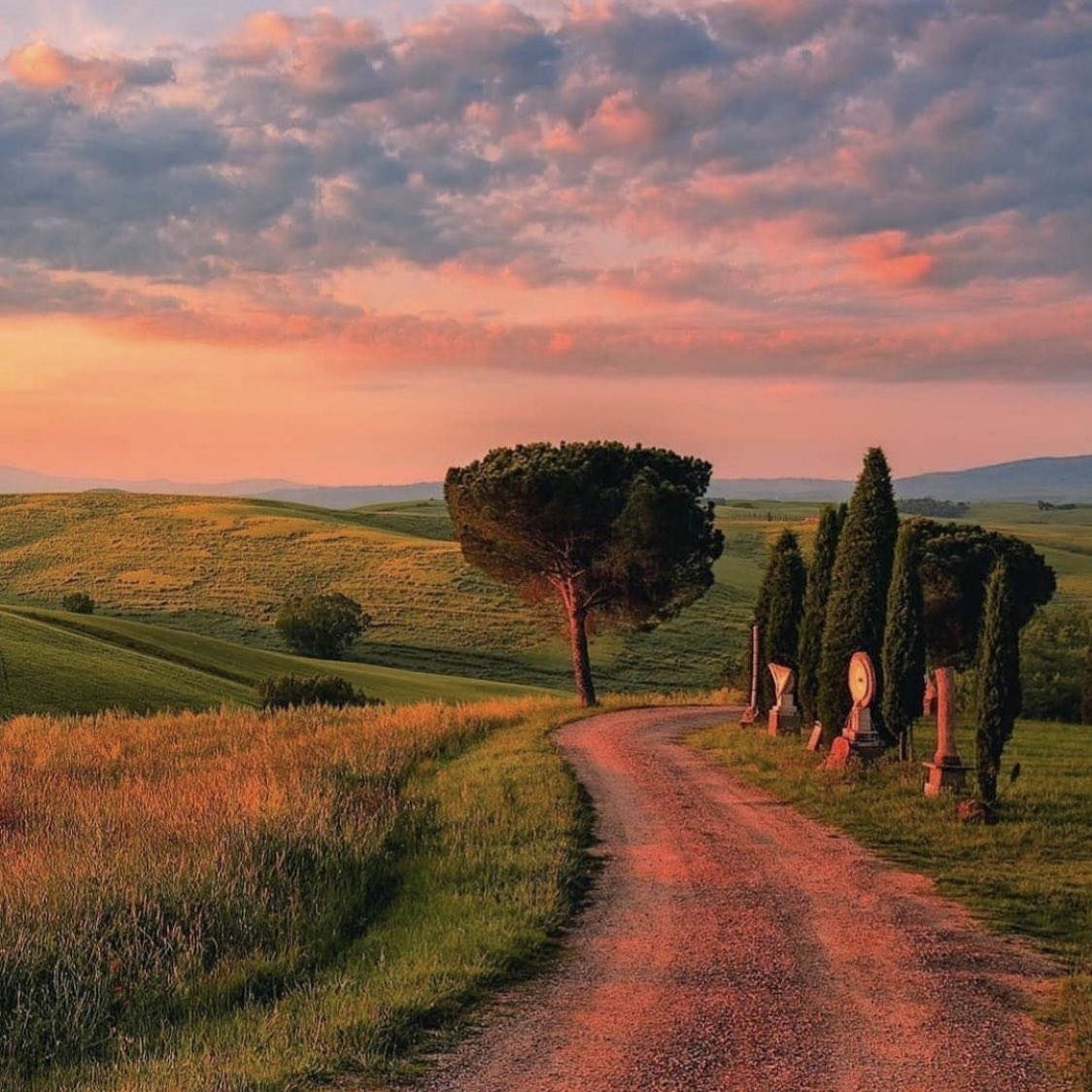 Walking Around Italy tweet media
