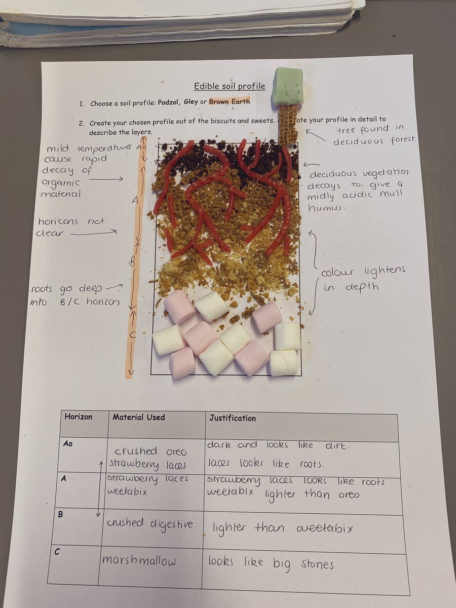 MsWallis1's tweet photo. Who ever said the biosphere was dull...@mgs_misschis #wearepgs #geographyteacher #ediblegeography https://t.co/jhxZDYaEg5