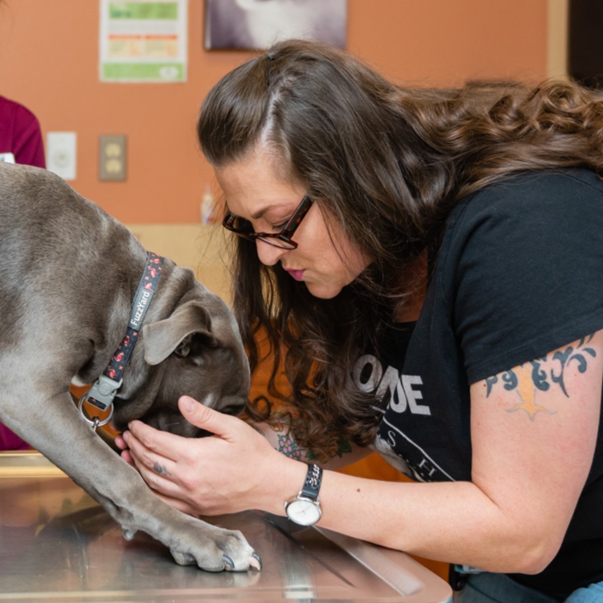AtwaterVet photo