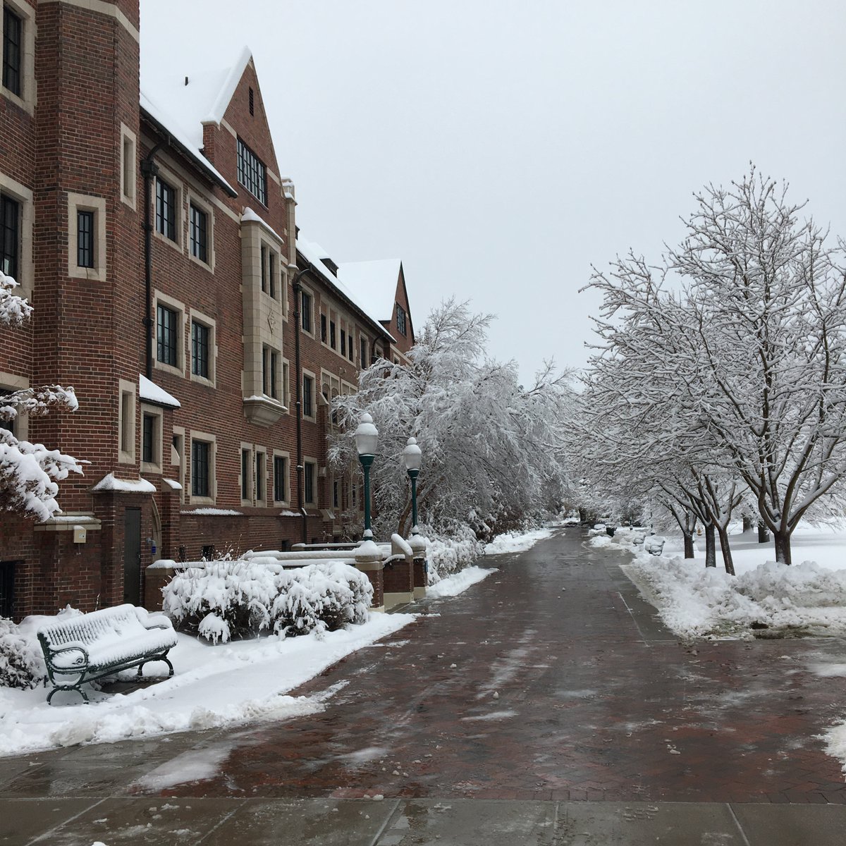 RegisUniversity's tweet photo. Our Northwest Denver Campus looks awfully nice under a fresh blanket of snow❄️ #ThisIsRegis #Colorado #CollegeInColorado #cowx https://t.co/0Ccs2wTo3x