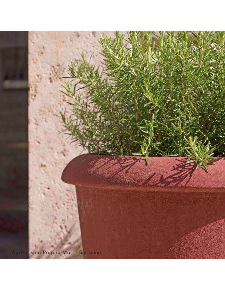 Tall, elegant and simple. Our Alta Moderno planter is a super new addition to our range 👌 #quality #handmade #craftsmanship #italianterracotta #terracottapots