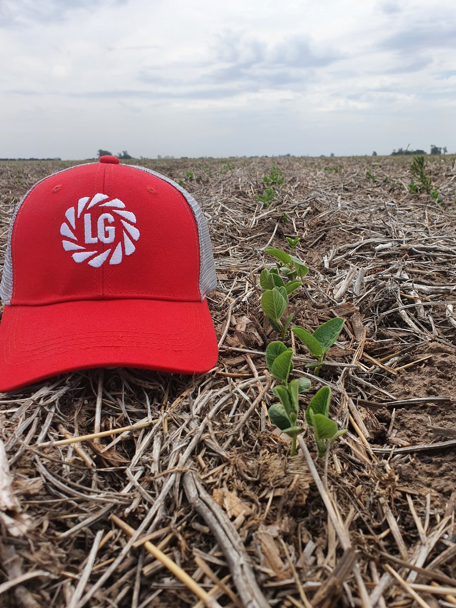 tebesmauricio's tweet photo. Recorriendo soja LG 6124 STS !! Lo que viene es muy bueno!!! #generandoinformacion #somoslg #deproductoraproductor @LG_SEMILLAS https://t.co/uMuwnWr1Qu