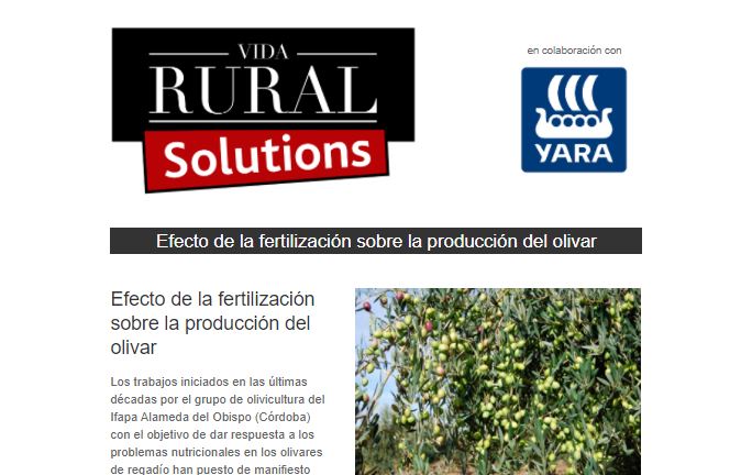 VRural's tweet image. #VRSolutions | Efecto de la fertilización sobre la producción del #olivar

Echa un vistazo a las soluciones de que propone @YaraIberian 👉
agronegocios.es/digital/vrsolu…