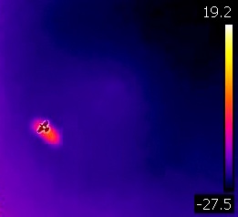 A pigeon flying against a clear sky, taken with an infrared camera. A living, warm blooded, and respiring being  against the extreme coldness of space.